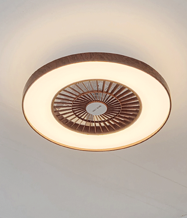 산드라 색변환 선풍기 리모컨 방등 (LED 56W)